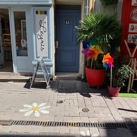 Terrasse Climatise Calme En Centre-ville Apartment